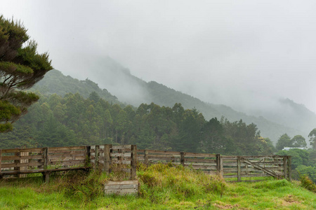 雨天在北国新西兰雾景观