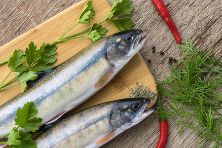 两条新鲜未煮的鱼一种用芳香草本和辣椒的鲑鱼在木制的切割板上