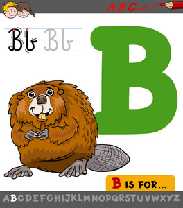 与卡通海狸字母 b