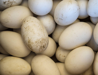 许多新鲜鸭蛋市场发售