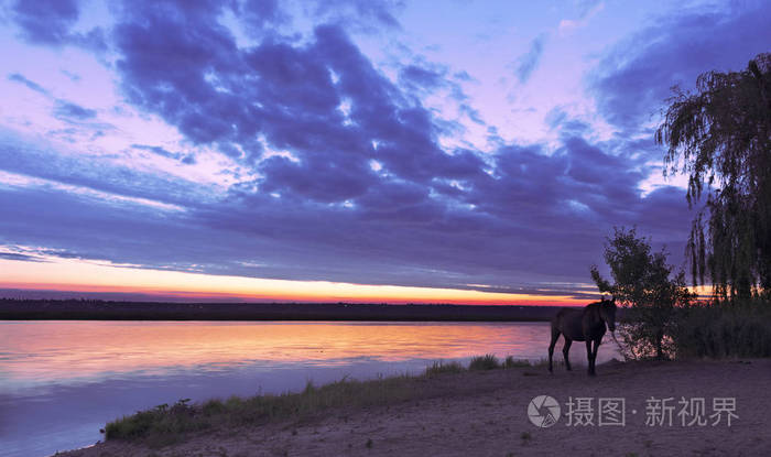 明亮的上升的阳光照亮了河边海滩和一匹老马站在离岸的河岸上