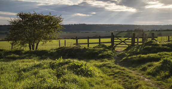 美丽的英国乡村景观在日落时的字段