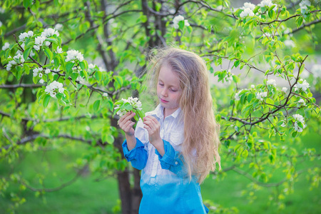 可爱的小女孩在盛开美丽的春日的苹果园树。可爱的孩子在春天采摘新鲜苹果树鲜花
