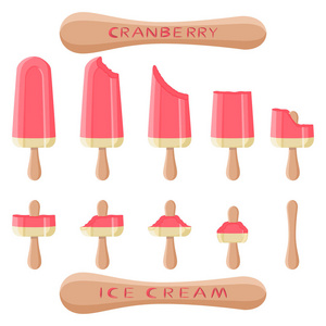 矢量插图标志为天然蔓越莓冰淇淋在棍子上。冰淇淋模式包括甜冷冰淇淋, 设置可口的冷冻甜点。蔓越莓鲜果各式各样