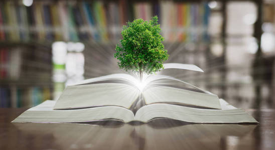 树和环境教育图书库放在桌子上