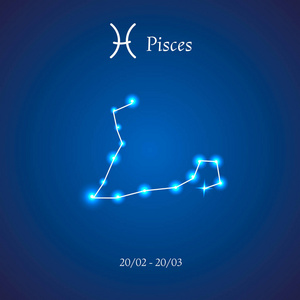 双鱼座.鱼儿照片