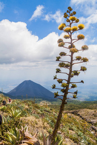 izalco火山救世主