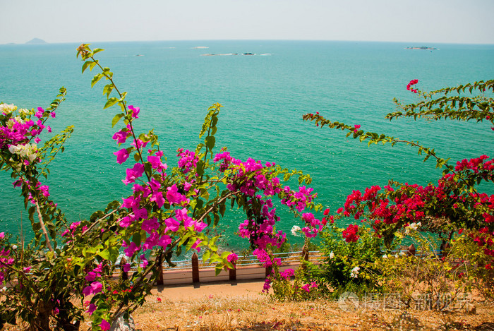 大海的风景.与白色和红色的花朵的绿色灌木.murudeshwar.印度卡纳塔克