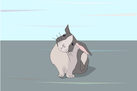 野兔灰色向量, 室外, 雪照片