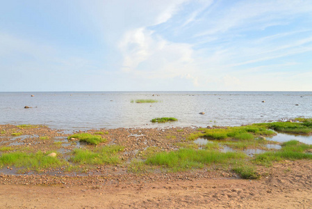 波罗的海的芬兰海湾海岸在晴朗的天