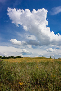 自然和风景的看法与多云天空在兰斯附近在法国
