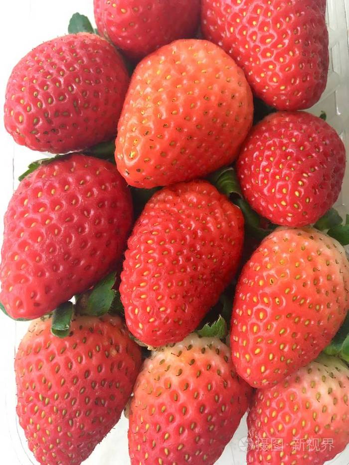 新鲜草莓集团