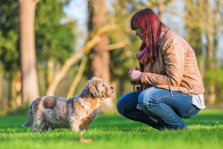 年轻女子和她的狗在草地上