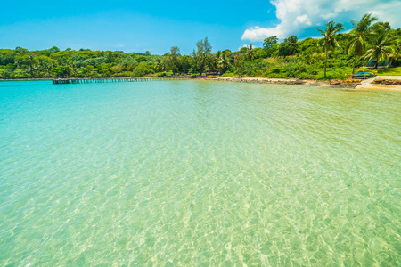 美丽的热带海滩和海与椰子棕榈树在天堂海岛为旅行和假期