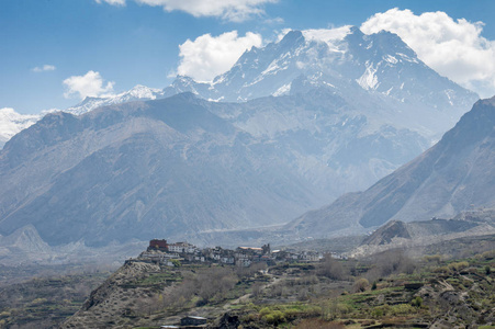 在野马尼泊尔 Muktinath 谷