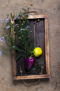 新鲜的蔬菜和草药在一个木质烧毁质朴的纹理背景。粗风化木板