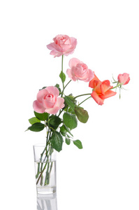 束美丽的白色 bac 上孤立的玻璃花瓶中的玫瑰
