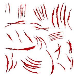 爪抓痕向量.白色背景上的孤立.熊或老爪爪划伤流血.碎的纸照片