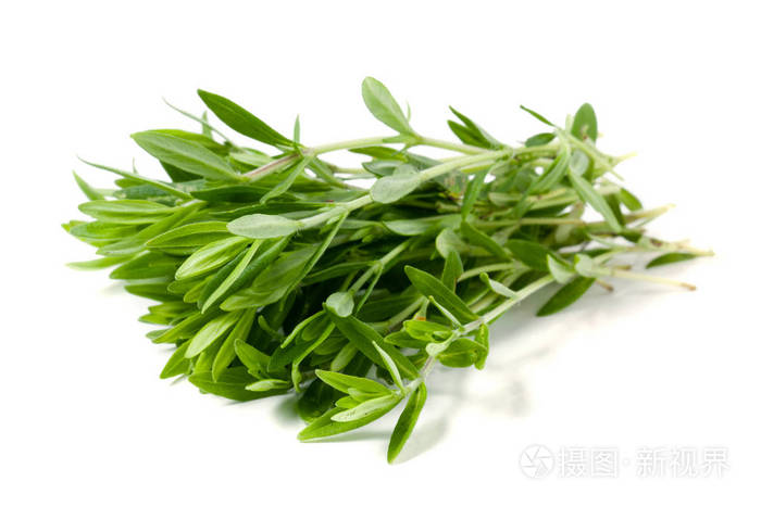 在白色背景上孤立的百里香新鲜草