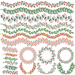 组的向量五颜六色的花卉装饰。包括的所有画笔