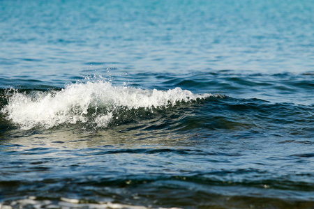 海浪石泡沫水