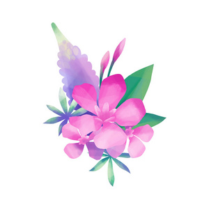 香夹竹桃图片-香夹竹桃素材-香夹竹桃插画-摄图新视界