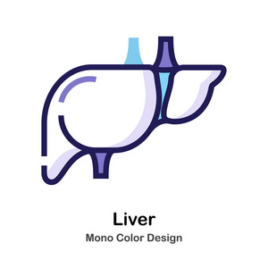 肝脏单色图标图片