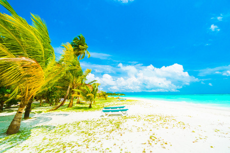 地处热带的海滩和大海在马尔代夫岛