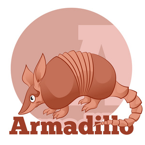 Abc 卡通 Armadillo2