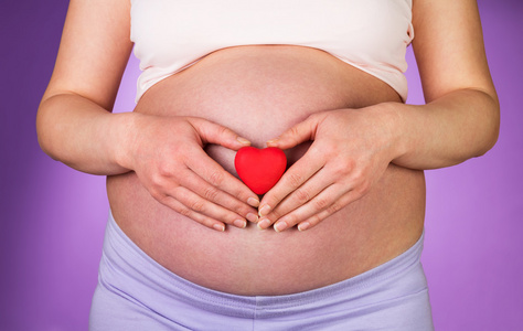 怀孕的女人红色的心坚持紫色背景