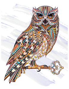 图案的设计的彩色猫头鹰照片