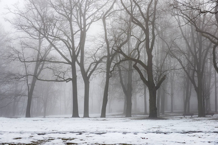 雾雪冬季公园图片