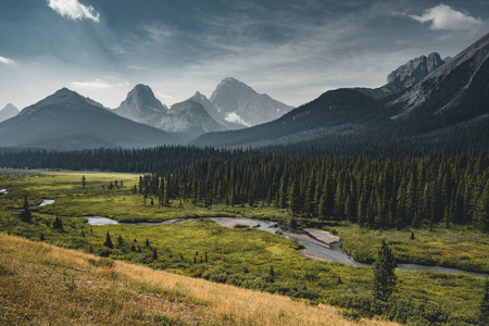 在彼得 Lougheed 省级公园卡纳纳斯基斯地区, 以倒影和树的角度看待高山和湖泊加拿大艾伯塔省