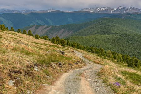 石泥陡峭蜿蜒的道路穿过山上的山顶上的花在路边