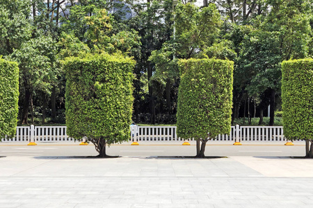 市异形柱形树的城市设计照片