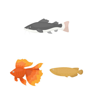不同类型的鱼卡通图标集集为设计。海洋和水族鱼矢量符号股票网页插图