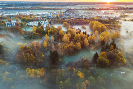 立陶宛农村无人机鸟瞰图。秋晨日出