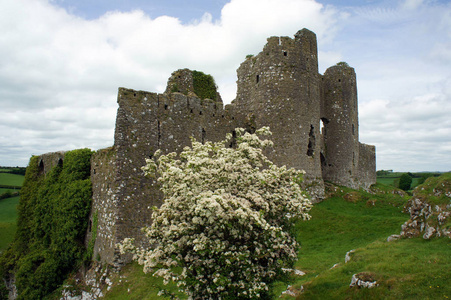罗氏城堡的废墟. 爱尔兰
