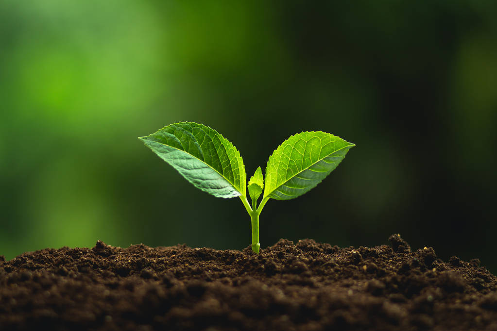 时隔6年再遭一轮游！本届澳网首位出局的前十种子7号种子费利克斯·阿利亚西姆1-2落后伤退