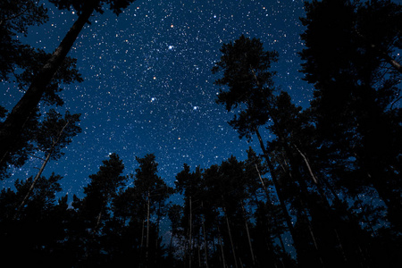 一个飞行的哥特圣诞老人对夜空背景的剪影