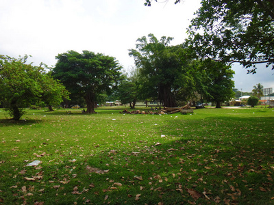 卢甘维尔, 埃斯皮里图, 瓦努阿图的场景