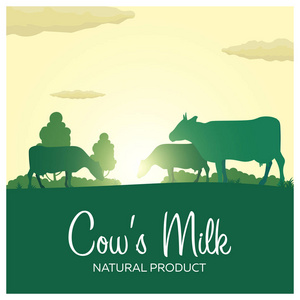 母牛的奶天然产品。与工厂和奶牛的农村景观。在村子里的黎明
