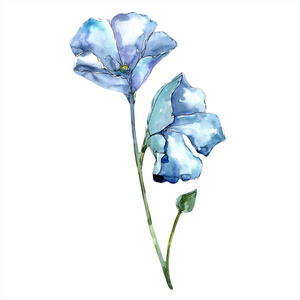 水彩蓝亚麻花。花卉植物花。孤立的插图元素