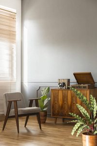 灰色扶手椅旁边的木柜在简单的客厅内部与植物。真正的照片与一个地方为您的灯