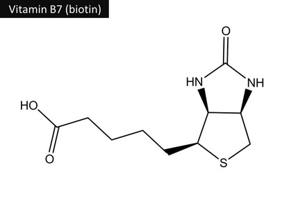 生物素的分子结构维生素b7