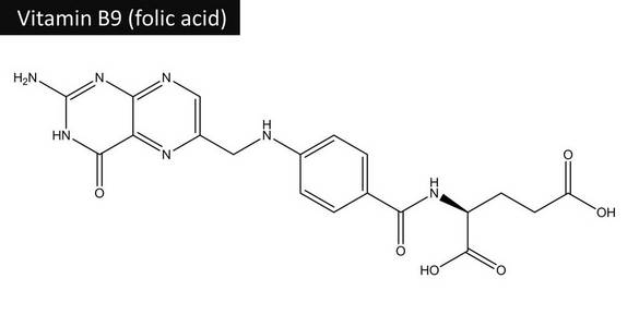 叶酸的分子结构维生素b9