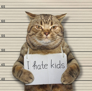 坏猫讨厌孩子。他进了监狱