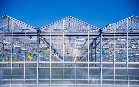 蓝天下的现代玻璃温室