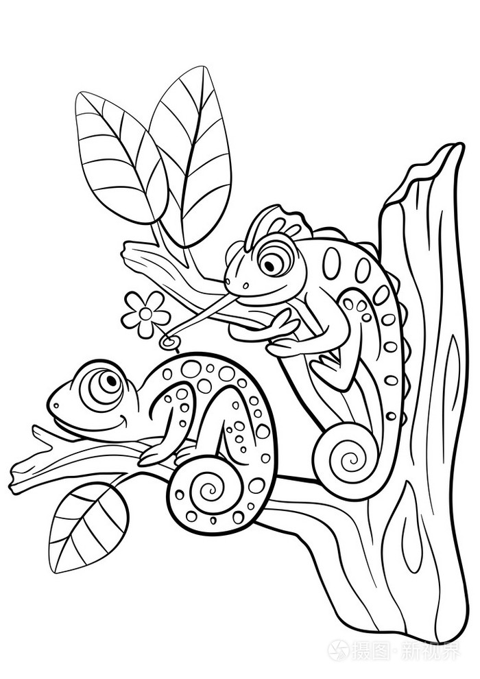着色页.野生动物.两个小可爱变色龙插画