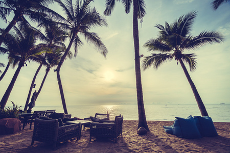 美丽的椰子棕榈树上的海滩和大海